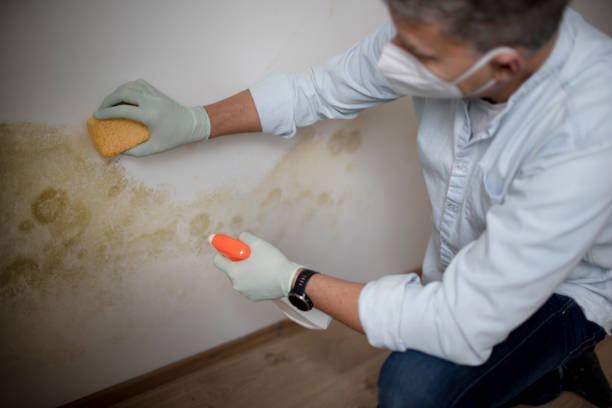 Best Mold Testing  in Sutherland, NE