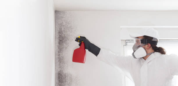 Water Damage Restoration in Sutherland, NE