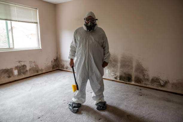 Best Emergency Mold Removal  in Sutherland, NE